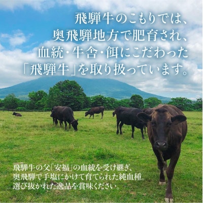 飛騨牛 肩ロース すきやき用 500g　c564