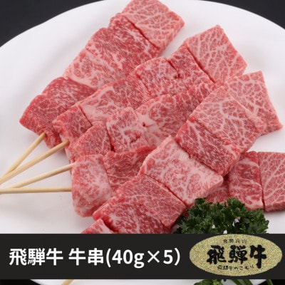 飛騨牛 牛串 5本入り×2パックセット　TR3451
