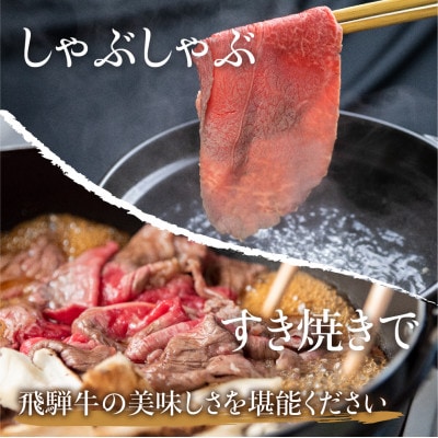 飛騨牛 赤身・霜降り 食べ比べ 400g　TR3921