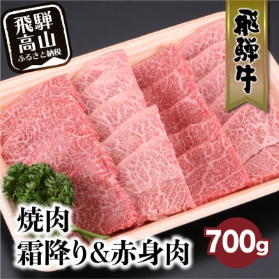 飛騨牛 みすじ・ウデ やきにく用 700g　TR3318