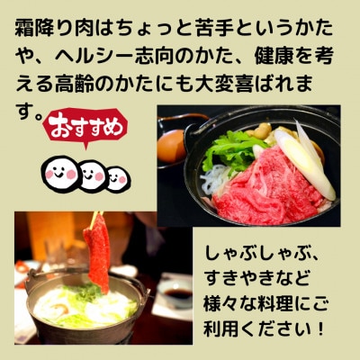 飛騨牛 赤身 すきやき しゃぶしゃぶ用 500g　TR4564