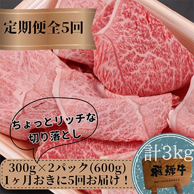 【2ヵ月毎定期便】飛騨牛みすじ・ウデすき焼きしゃぶしゃぶ切り落とし300g×2パックセット全5回