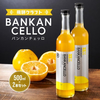 飛騨クラフト 河内晩柑のお酒 バンカンチェッロ500ml 2本セット MM023