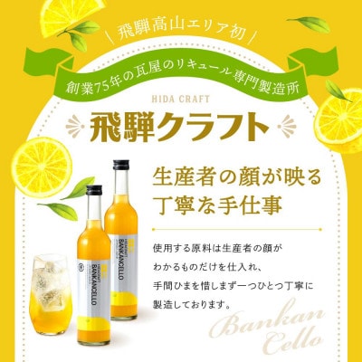 飛騨クラフト 河内晩柑のお酒 バンカンチェッロ500ml 2本セット MM023