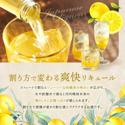 バンカンチェッロ500ml 6本セット MM024