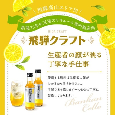 バンカンチェッロ180ml 2本セット MM025