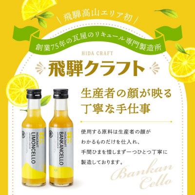 バンカンチェッロ180ml×1本とリモンチェッロ180ml×1本のセット MM027