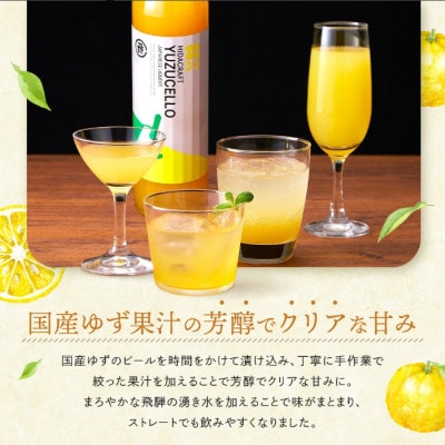 【IWSC2年連続最高金賞受賞】ゆずチェッロ500ml×6本セット MM033
