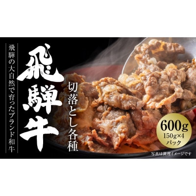 飛騨牛 切落とし 600g(約150g×4パック)使い勝手の良い 小分け 冷凍真空パック MZ001