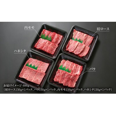飛騨牛 焼肉厳選4種盛600g(希少部位ハネシタ入)使い勝手の良い小分け冷凍真空パック MZ007