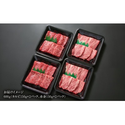 飛騨牛 焼肉 厳選2種盛(赤身焼肉・カルビ焼肉)600g 小分け 冷凍真空パック MZ008