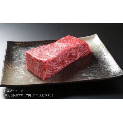 飛騨牛 赤身(モモ)ブロック[塊] 300g 真空パック 飛騨高山ミート MZ020