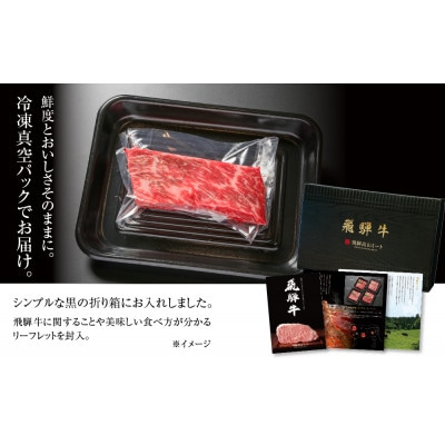 飛騨牛 赤身(モモ)ブロック[塊] 300g 真空パック 飛騨高山ミート MZ020