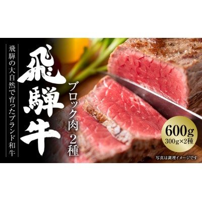 飛騨牛 ブロック肉2種(霜降り/赤身) 各300g飛騨高山ミート MZ023