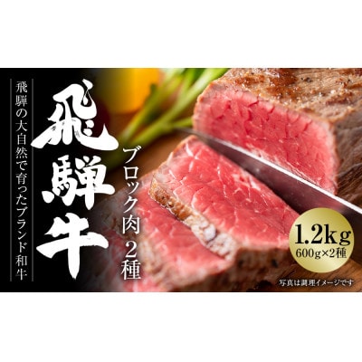飛騨牛 ブロック肉 [塊] 1.2kg(霜降り600g/赤身600g)飛騨高山ミート MZ024