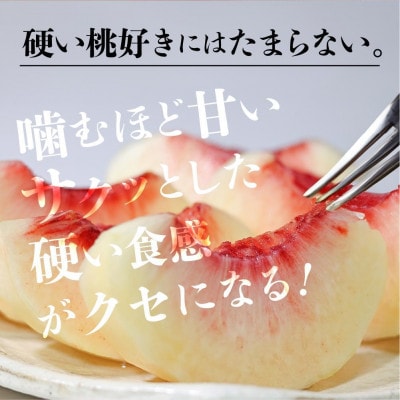 【2025年発送中】硬い桃【訳あり】飛騨高山の桃(4-8玉) 糖度15度以上 GH010