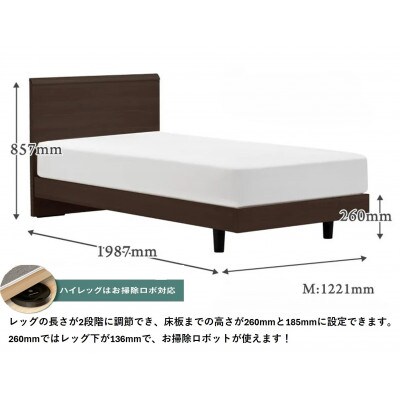フランスベッド　フレームのみ　セミダブル　FAD-F1 (LGレッグ)　フレームカラー選択