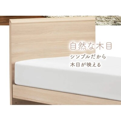 フランスベッド　フレームのみセミダブルFAD-F1 (TS跳ね上げ収納260mm)フレームカラー選択