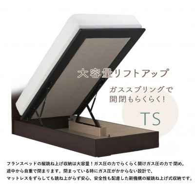 フランスベッド　フレームのみセミダブルFAD-F1 (TS跳ね上げ収納260mm)フレームカラー選択