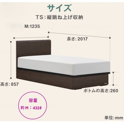 フランスベッド　フレームのみセミダブルFAD-F1 (TS跳ね上げ収納260mm)フレームカラー選択
