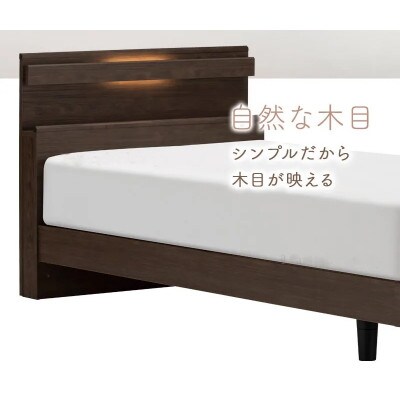 フランスベッド　フレームのみ　シングル　FAD-C1 (LGレッグ)　フレームカラー選択