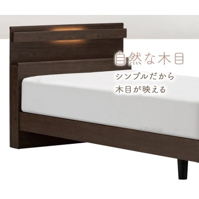 フランスベッド　フレームのみ　セミダブル　FAD-C1 (LGレッグ)　フレームカラー選択