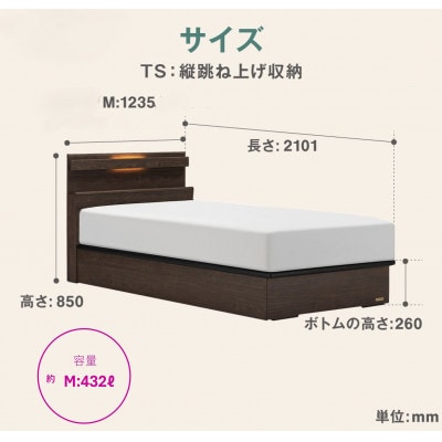 フランスベッド　フレームのみセミダブルFAD-C1 (TS跳ね上げ収納260mm)フレームカラー選択