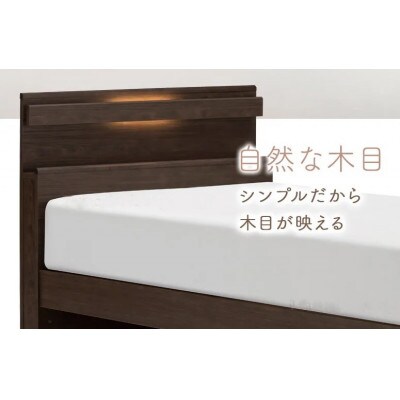 フランスベッド　フレームのみセミダブルFAD-C1 (TS跳ね上げ収納330mm)フレームカラー選択