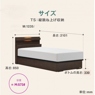 フランスベッド　フレームのみセミダブルFAD-C1 (TS跳ね上げ収納330mm)フレームカラー選択