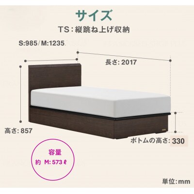 フランスベッド　フレームのみセミダブルFAD-F1 (TS跳ね上げ収納330mm)フレームカラー選択