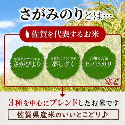 さがみのり 20kg | お礼品詳細 | ふるさと納税なら「さとふる」