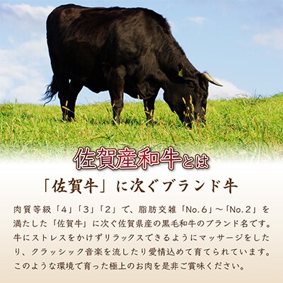 佐賀産和牛ハンバーグ　120g×10個