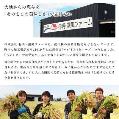 令和7年産さがびより　10kg