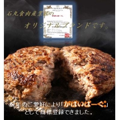 老舗56年　佐賀牛入り　がばいばーぐ。140g×12個