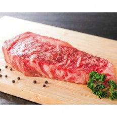 【佐賀産和牛】ロースブロック(タタキ・ローストビーフ・焼肉等)500g