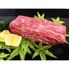 【佐賀牛】モモブロック(タタキ・ローストビーフ・焼肉等)500g