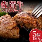 佐賀牛100%ハンバーグ120g×5個