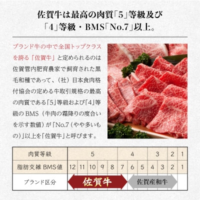 佐賀牛切り落とし1000g(500g×2)