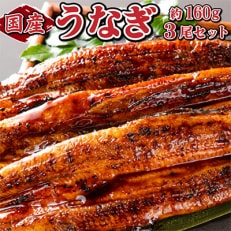 国産鰻蒲焼約160g×3尾(上峰町)