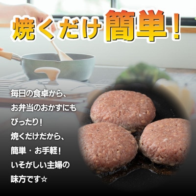 佐賀牛入り　生ハンバーグ(22個入り)(上峰町)