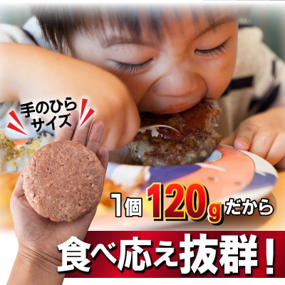 佐賀牛入り　生ハンバーグ(22個入り)(上峰町)