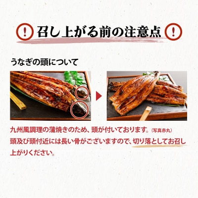 国産うなぎ蒲焼160g×3尾(計480g)(上峰町)