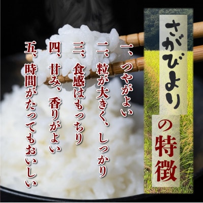令和6年産さがびより(精白米)10kg