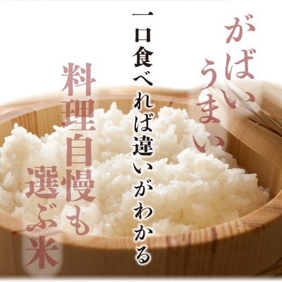 令和6年産さがびより(精白米)10kg