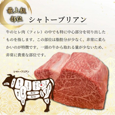 佐賀牛 シャトーブリアン 500g(上峰町)