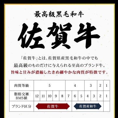佐賀牛 シャトーブリアン 500g(上峰町)