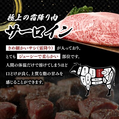 佐賀牛 高級部位ヒレとサーロインの食べ比べセット 400g(上峰町)