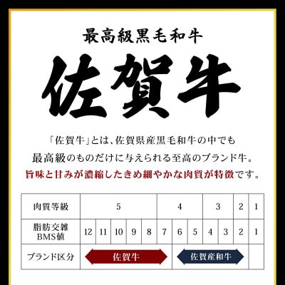 佐賀牛 ヒレ丸ごと一本 約3.5kg(上峰町)