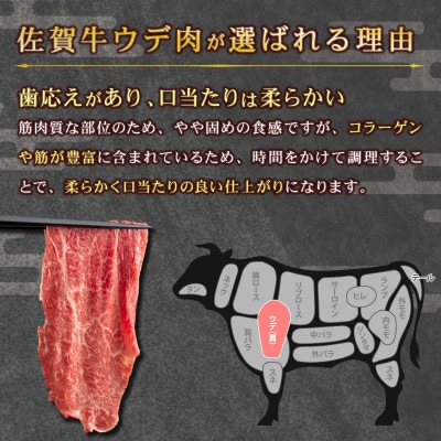 佐賀牛 特選切落し 800g(上峰町)