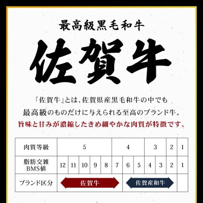 佐賀牛 特選切落し 800g(上峰町)